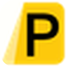 X Icon