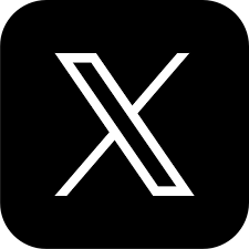 X Icon
